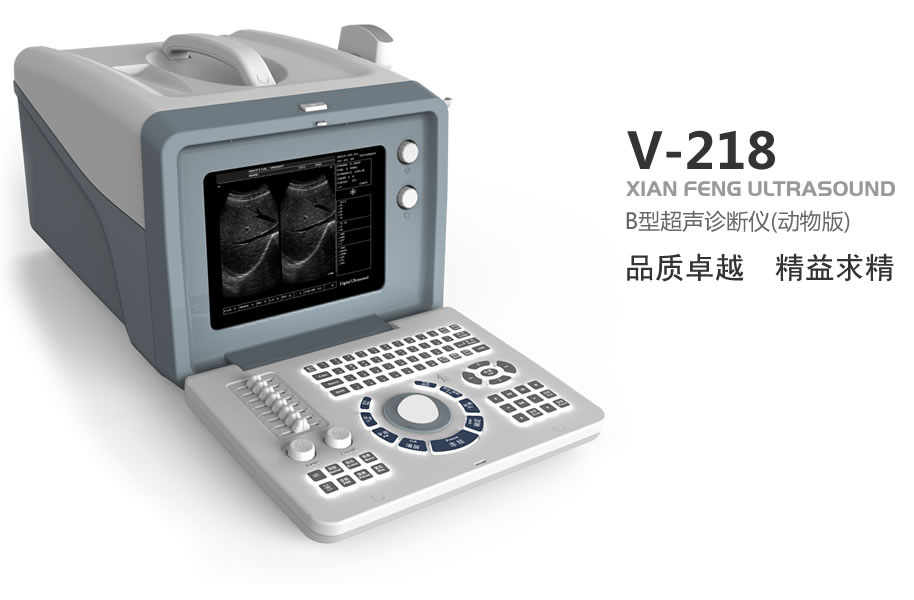动物超声诊断仪