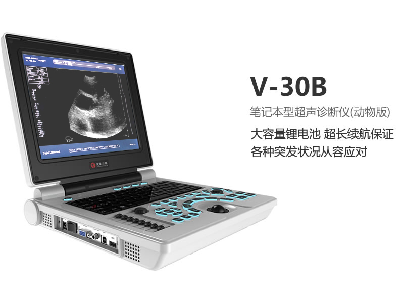 全数字笔记本式动物超声诊断仪